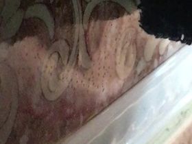 Красивая девушка дрочит в ванной, но нам видно только отражение