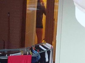 Сосед заснял ан камеру как одна женщина с голой попкой ходит по дому